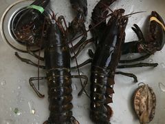 波士顿龙虾-盒马鲜生(大成店)