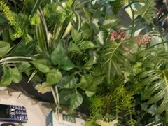 -五星桥原切肥牛火锅·30年专注好牛肉(湖塘店)