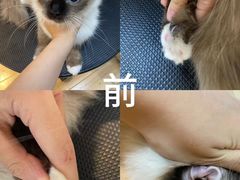 -听TA说宠咖·宠物生活馆(天韵水岸店)