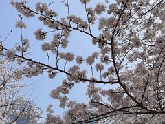 -西北湖绿化广场