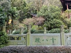 -十八棵（老龙井）御茶园(老龙井店)