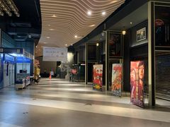 -新影联·华谊兄弟影院(望京店)