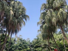 -北海市海滨公园