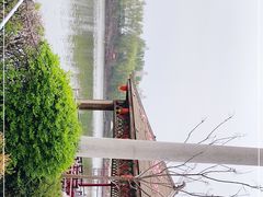 -天达烤全羊