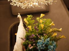 -滇野云南野生菌餐厅(陕西南路店)