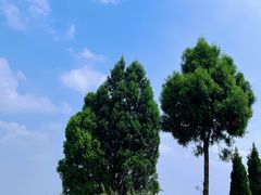 -金堂县云顶石城风景区