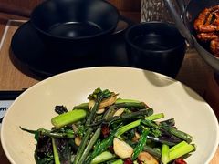 -VT101维多利广场