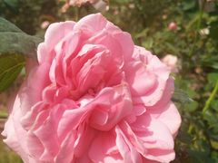 -人民公园(罗湖区)