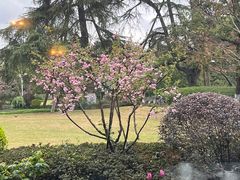 -浙江西子宾馆·牡丹厅