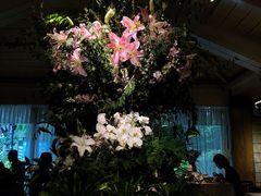 -春暖花开(西溪店)
