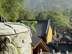-·缸桶屋·韩式牛肋条自助烤肉(西湖D11店)