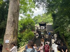 -青城山