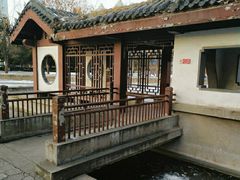 -团结湖公园