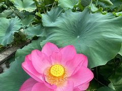 -龚家花园农家乐休闲别墅