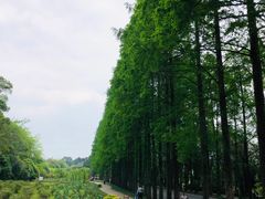 -青城山