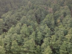 -苍山感通索道