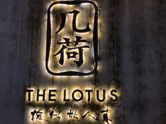 -几荷·恰似故人来(秀水广场店)