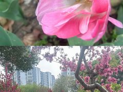 -圩墩遗址公园