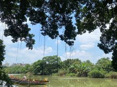 -小洲村