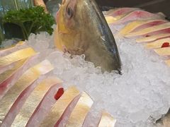 金昌鱼-太琼糟粕醋火锅·海南老爸茶(海棠湾臻选店)