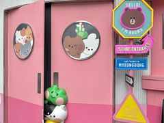 -line friends(明洞旗舰店)