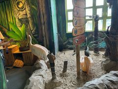 -海合安武汉极地海洋公园