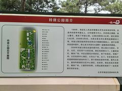 -玲珑塔公园
