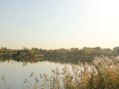 -东郊湿地公园