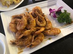 -云中小雅