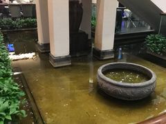 -旺顺阁鱼头泡饼(小红门店)