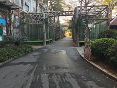 -灵玲国际马戏城