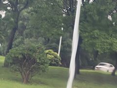 -胜华驾校·小猫学车(银都店)