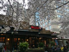 -玛格萝妮比萨屋(四平店)