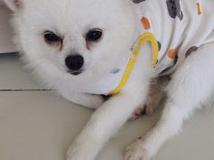 -怪兽屋·羊驼·猫咖·狗咖(俊华广场店)