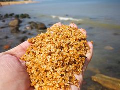 -白沙门生态公园