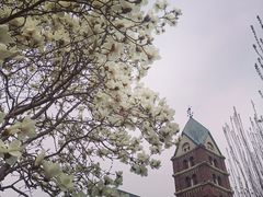 -天津五大道文化旅游区