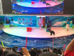 -成都浩海立方海洋公园