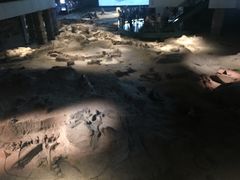 -自贡恐龙博物馆