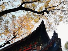 -灵谷景区