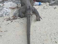 android_upload_pic-东姑阿都拉曼海洋公园