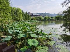 -长兴太湖图影湿地文化园