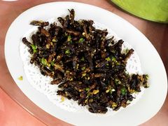 香煎土狗仔-天强农家菜馆