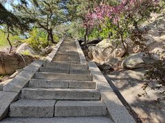 -崂山巨峰游览区