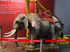 -中国湿地博物馆