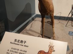 -大庆市博物馆
