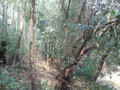 -湘鄂赣边区鄂东南革命烈士陵园