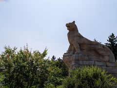 -帽儿山国家森林公园