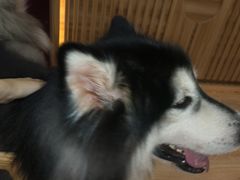 -白兔子密室(长寿路店)