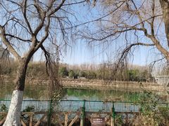 -西安汉城湖景区