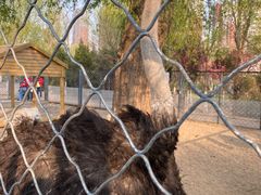 -长白岛森林公园